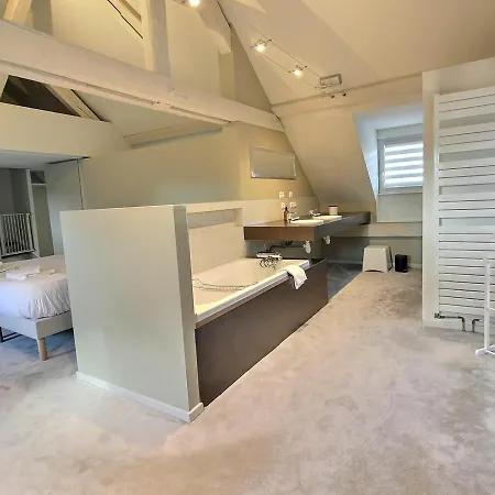 Maison De Caractere Avec Jacuzzi Et Parking A Deux Pas Du Centre Historique De - Fr-1-722-3 بيت للعطل